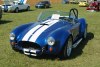 cobra_blue_2t.jpg