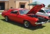 cougar_elimator_750x500_2t.jpg