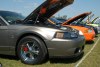 fofshow_750x500_3t.jpg