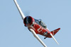RN6_1382t.jpg