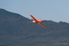 RN8_0473t.jpg