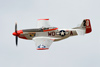 Reno_2010_11816t.jpg