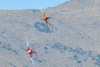 Reno12_13261t.jpg