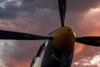 CurtisFowles-Reno2016-68754t.jpg