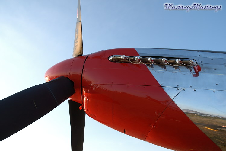 42-103293_00093_cf1.jpg