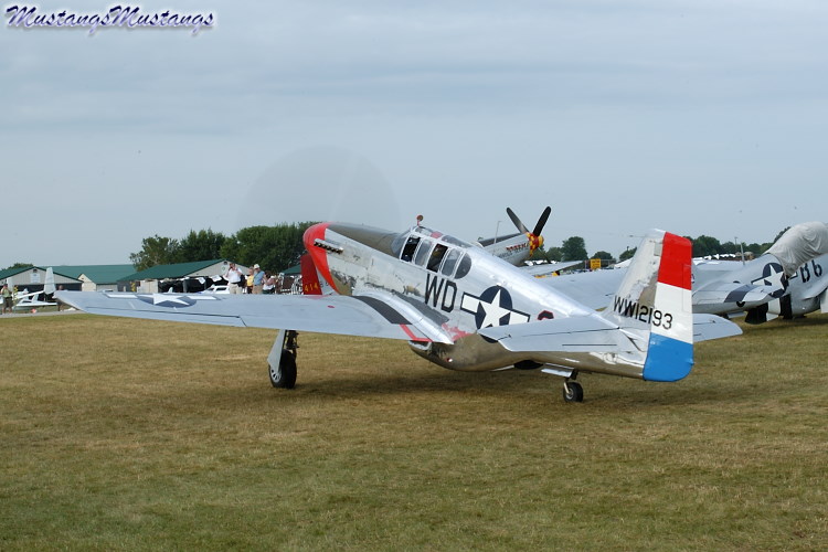42-103293_00113_cf1.jpg