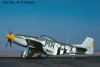 P-51