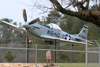 P-51