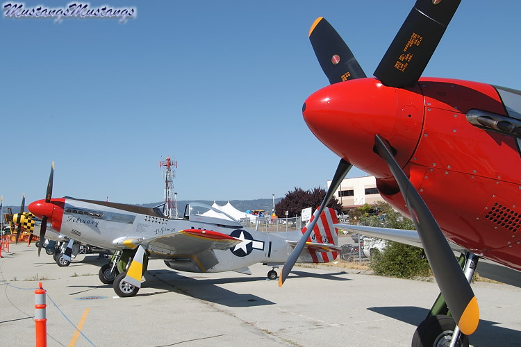 44-74391_03314_cf1.jpg