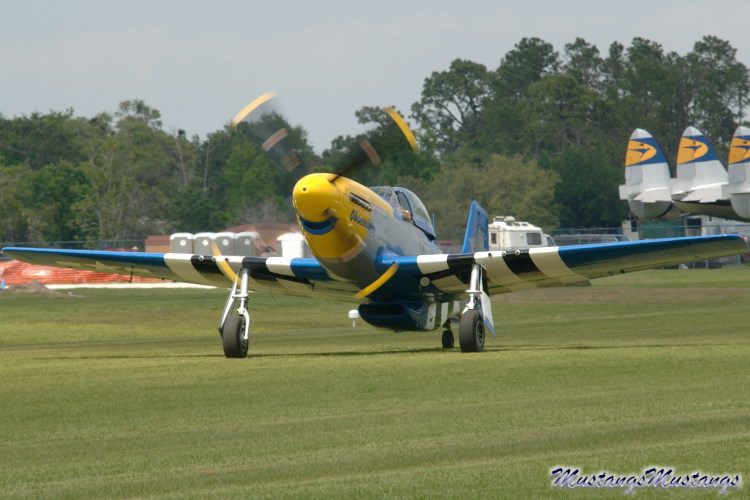 44-74976_04367_cf1.jpg