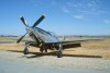 P-51