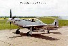 P-51