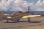 P-51 Who